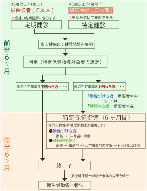 特定健診・特定保健指導の流れの図解